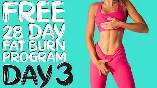 DAY 3 | FREE 28 DAY WORKOUT CHALLENGE | Abs & Total Body Fat Burn | Timer & Modifications Included