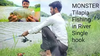 Big Size Monster Tilapia Fishing In River ||how to catch Fish Single hook Fishing video
