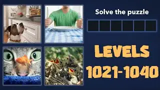 4 Pics 1 Word Levels 1021 - 1040 Answers