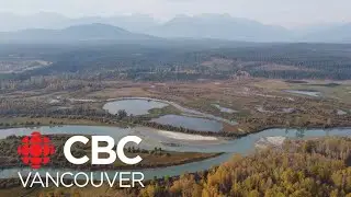 B.C.&rsquo;s Columbia Wetlands are drying up, threatening the lives of migrating birds