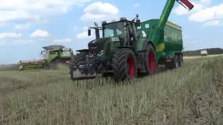 Żniwa 2015 - **GR. Ptaszkowo** 5 x Claas Lexion & New Holland/Fendt/Have/*WPADKI*