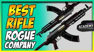 Best Rifle in Rogue Company