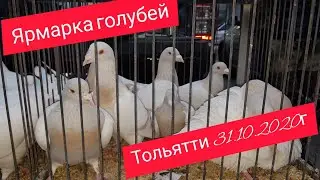 Ярмарка голубей в Тольятти 31.10.2020г.Tolyatti pigeon fair 31.10.2020