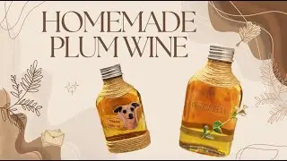 Homemade Umeshu in 3 Minutes | Easy Japanese Plum Wine Recipe