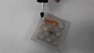 pH levels explained