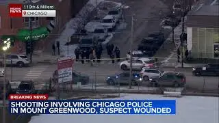 Suspect shot by Chicago police on South Side: sources
