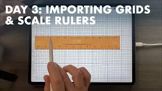 The Hidden Trick to Drawing to Scale in Procreate