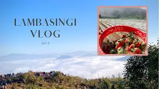 Trip to Lambasingi||Kashmir of Andhra Pradesh||AP Tourism||View Point||Strawberry Farms