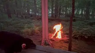 Campfire using Drywood and Firestarter