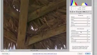 Photoshop CS5: Camera RAW