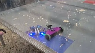 French Toast Sticks vs Jester, Finals, Midwest Robot Rumble - June 2025