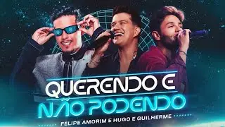 Felipe Amorim - Querendo e N&atilde;o Podendo feat @HugoeGuilhermeOficial (Lyric V&iacute;deo)