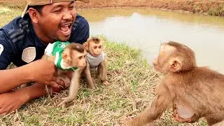 Johny Reaction to Dad When Protect Lyly and Boki, How Lyly Doing Then
