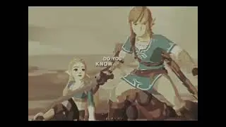 pretty face - botw / totk zelda and link edit