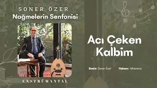SONER &Ouml;ZER / Nağmelerin Senfonisi 