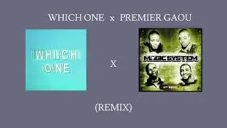 WHICH ONE x PREMIER GAOU [REMIX] 