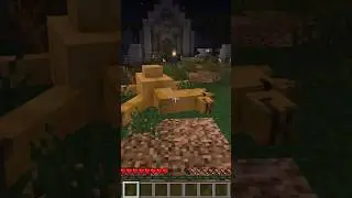 why are they Dying like that?