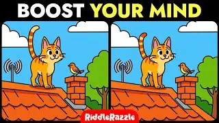 Train Your Brain / Spot 3 Differences! Try This 10-Minute Brain Workout
