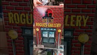 RARE VINTAGE ROGUES GALLERY BATMAN and ROBIN MULTI PACK