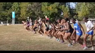 🏃&zwj;♂️🍂 MSCIAA Cross Country Championship at Shelby Farms: A Thrilling October Race 🏆👟