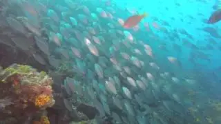 A day at DIVE TRIBE Cabo Verde