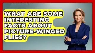 What Are Some Interesting Facts About Picture-Winged Flies? - Reptilian Wonders