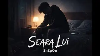 Seara lui – ShEgOn 💔🌙 | singur printre gânduri #ShEgOn #SearaLui #singuratate #shegonrecords
