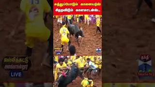 Alanganallur | Jallikattu | Madurai | BullFight | BullTaming