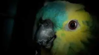 Richard 