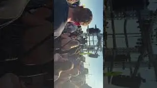 Lyny 360 set @northcoastfest