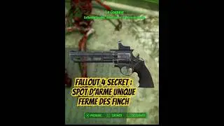 Fallout 4 : Connaissez-vous le spot du Gagneur, une arme unique pr&egrave;s de la ferme des Finch.
