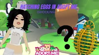 HATCHING  EGGS IN ADOPT ME🥚🐱 ( unexpected twist ) 