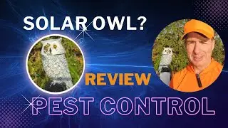 Solar-Powered Owl? Garden Pest Control!