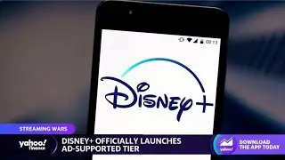 Аналитик утверждает, что рекламная поддержка Disney будет доступна всем, кто &laquo;чувствует эту загвоздку&raquo;