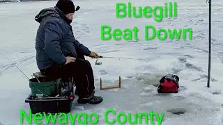 Bluegill Beatdown in Newaygo County.