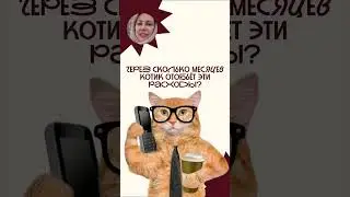 You can sign up for a consultation on my Telegram channel  