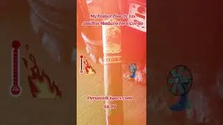 #cigars #smokingcessation #aficionados #pyramidcigars #smoker