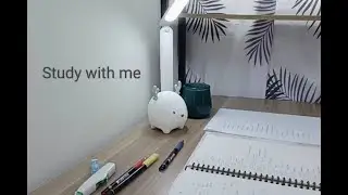 Study with me | 1Hour | Break time❌ |  relaxing Lofi | Recommended BGM Collections