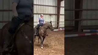 Riding a Morgan Horse
