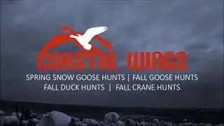 Guided Spring Snow Goose Hunts & Spring Snow Goose Hunting