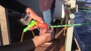How to use the CableWake Beastmount
