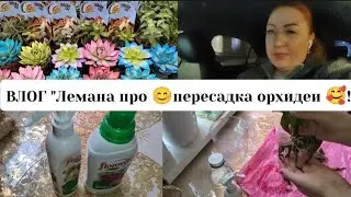 Влог