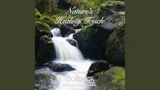 Healing Journey
