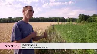 Préserver l'environnement grâce à l'agroforesterie  FUTUREMAG   ARTE
