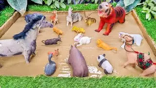 Mighty Tiger, African Horse, Rabbit Amazon Jungle Animals Stuck in the Mud
