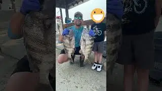 Sheeping Around: fish royalty with molars and motives.#chesapeakebay #fishing #sheepsheadfishing