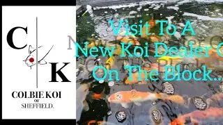 ПОСЕТИТЕ НОВОГО ДИЛЕРА КОИ В ВЕЛИКОБРИТАНИИ, Colbie Koi Of Shefield. Все карпы кои импортированы из Японии, и мы проводим аукционы! 😎👍🐟