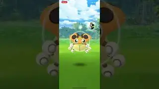 Ledyba coxy shiny pokemon go