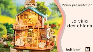 Pr&eacute;sentation de la villa des chiens 🐶 - Rolife - La Maison du Canevas
