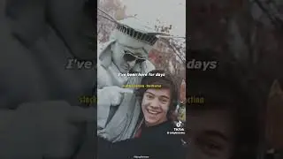 The Beauty Of 1D😍 #fyp #foryoupage #music #1d #onedirection #singing #mashup